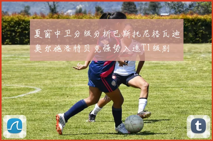夏窗中卫分级分析巴斯托尼格瓦迪奥尔施洛特贝克强势入选T1级别